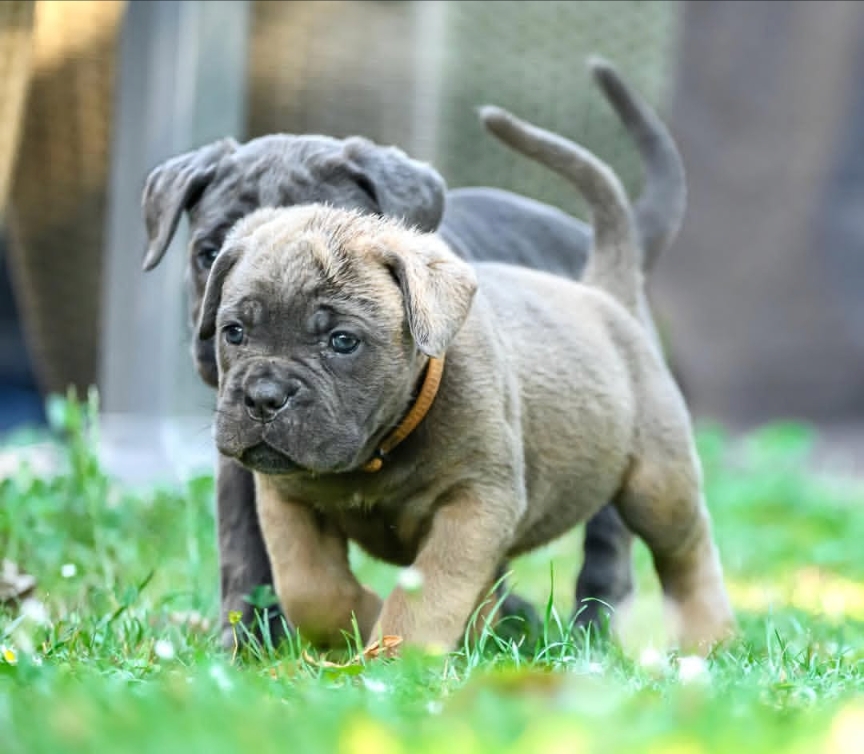 Img_2025_09_12_15_08_38