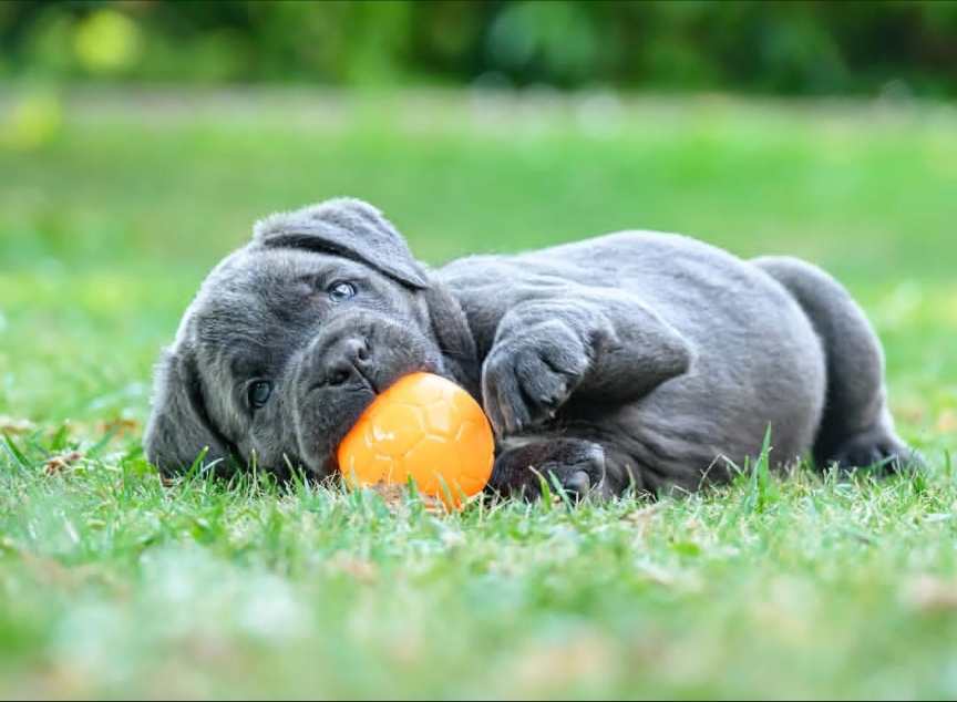 Img_2025_09_12_15_09_34