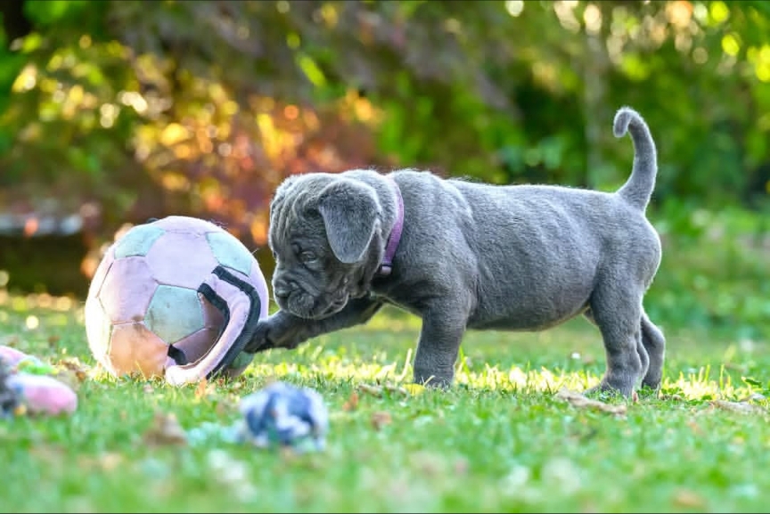 Img_2025_09_12_15_09_45