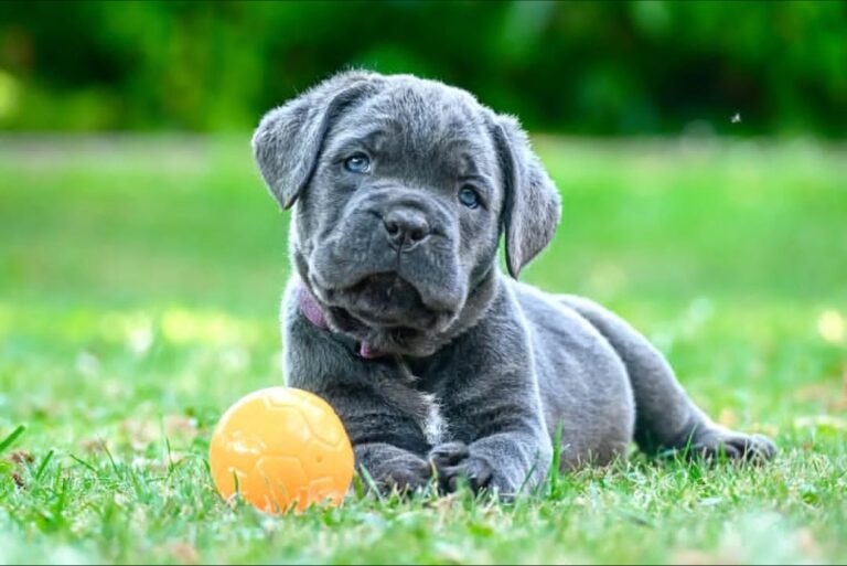 Img_2025_09_12_15_10_18