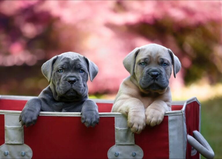 Img_2025_09_12_15_10_52