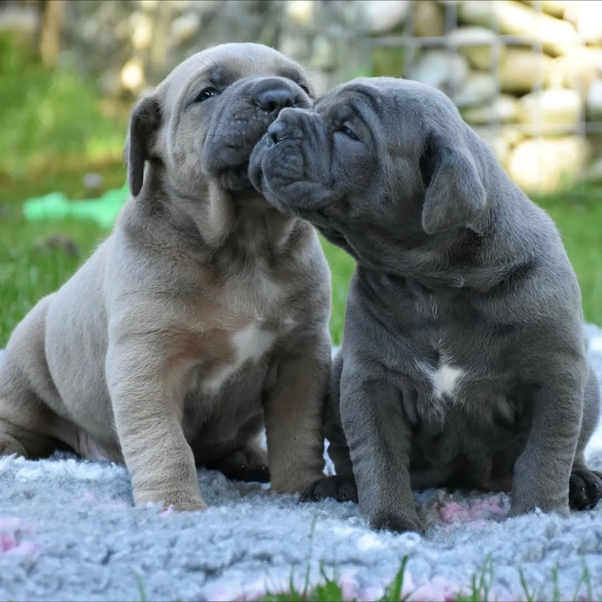 Img_2025_09_12_15_11_05