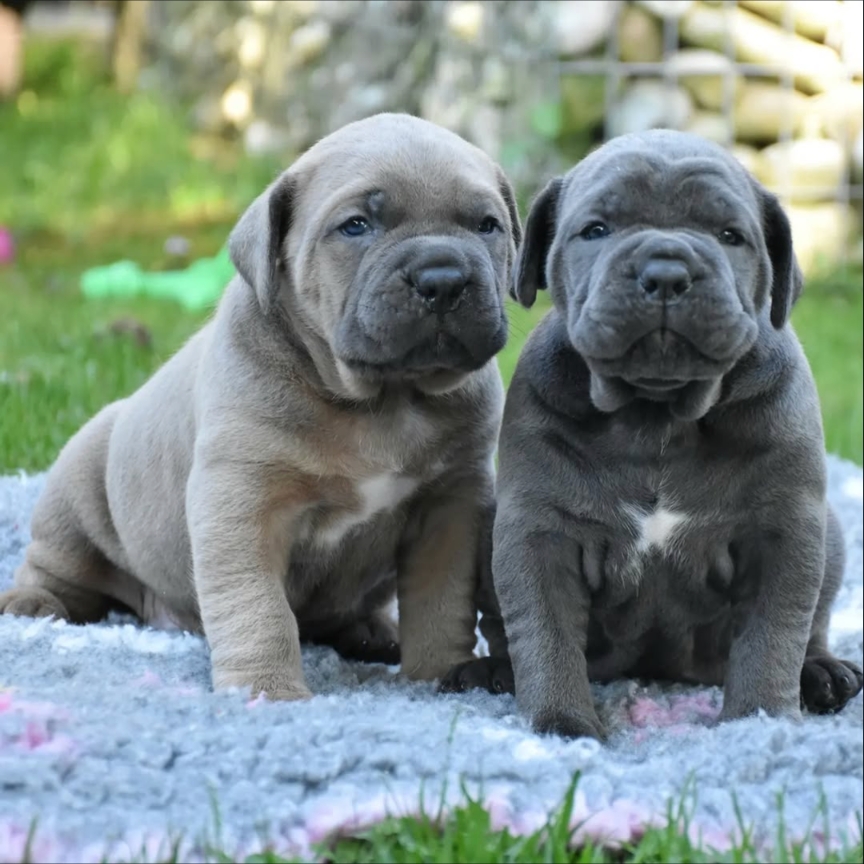 Img_2025_09_12_15_11_55